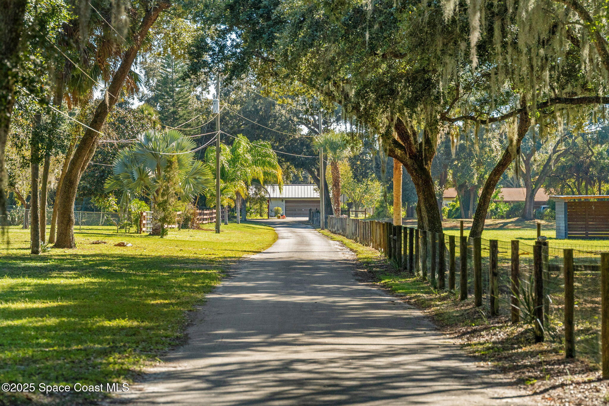 4630 James Road Cocoa, FL 32926 - Photo 57 of 58 a view of yard with swimming pool and trees
