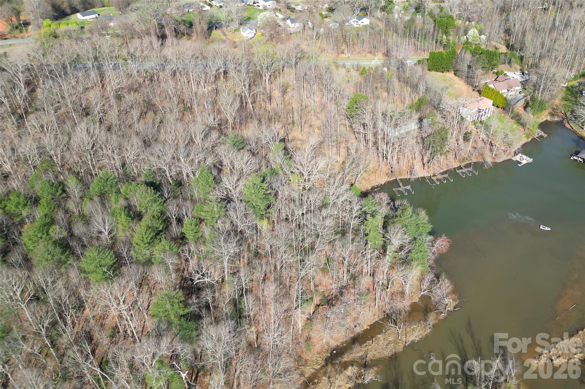 4526 North Center Street Hickory, NC 28601 - Photo 5 of 5 a view of a plant in a garden