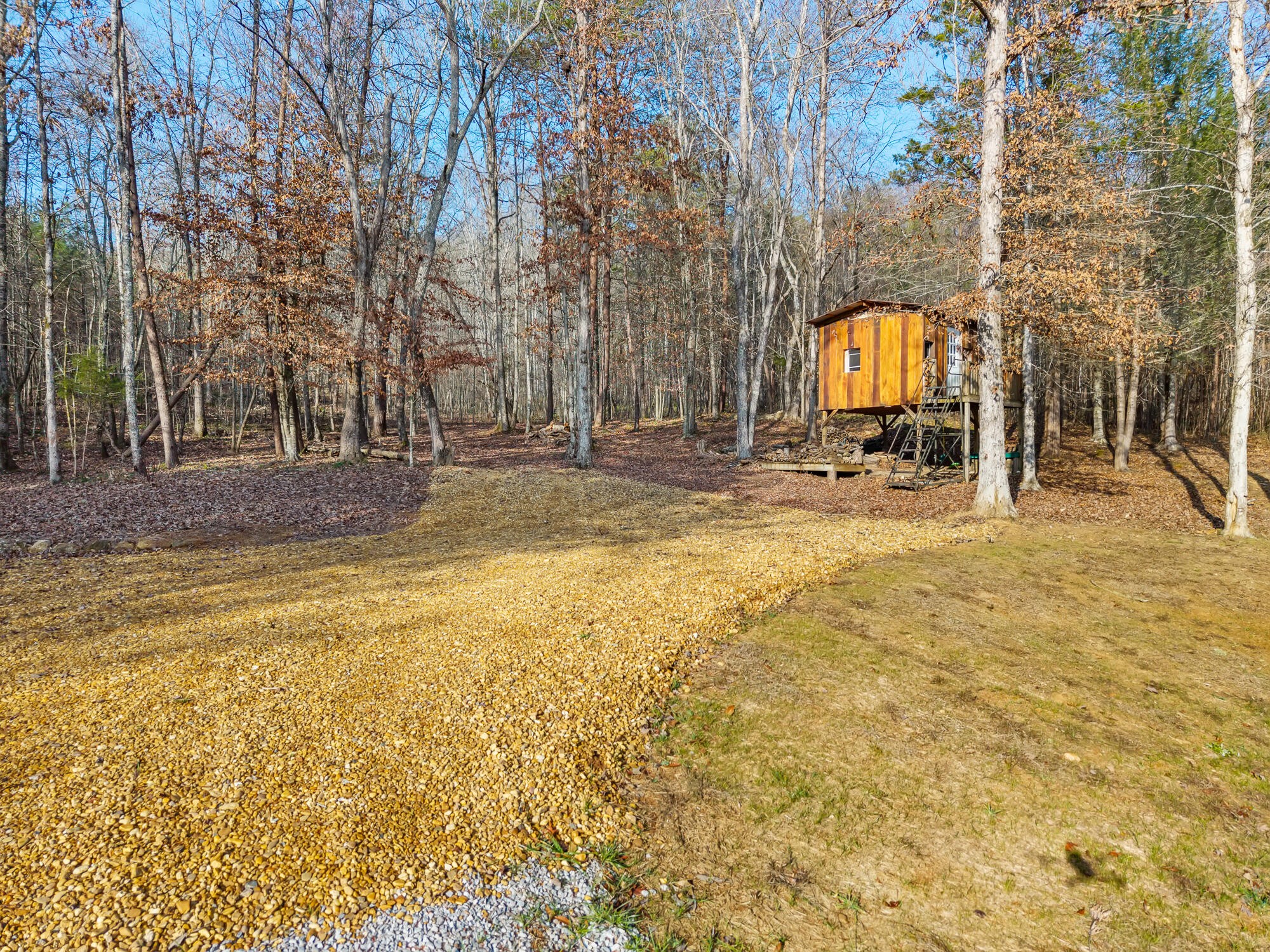 185 Bivens Road Tellico Plains, TN 37385 - Photo 34 of 34 a view of a backyard with swimming pool