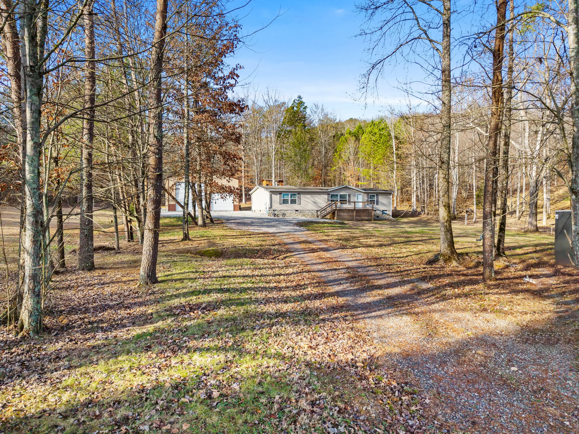 185 Bivens Road Tellico Plains, TN 37385 - Photo 4 of 34 a view of yard with tree