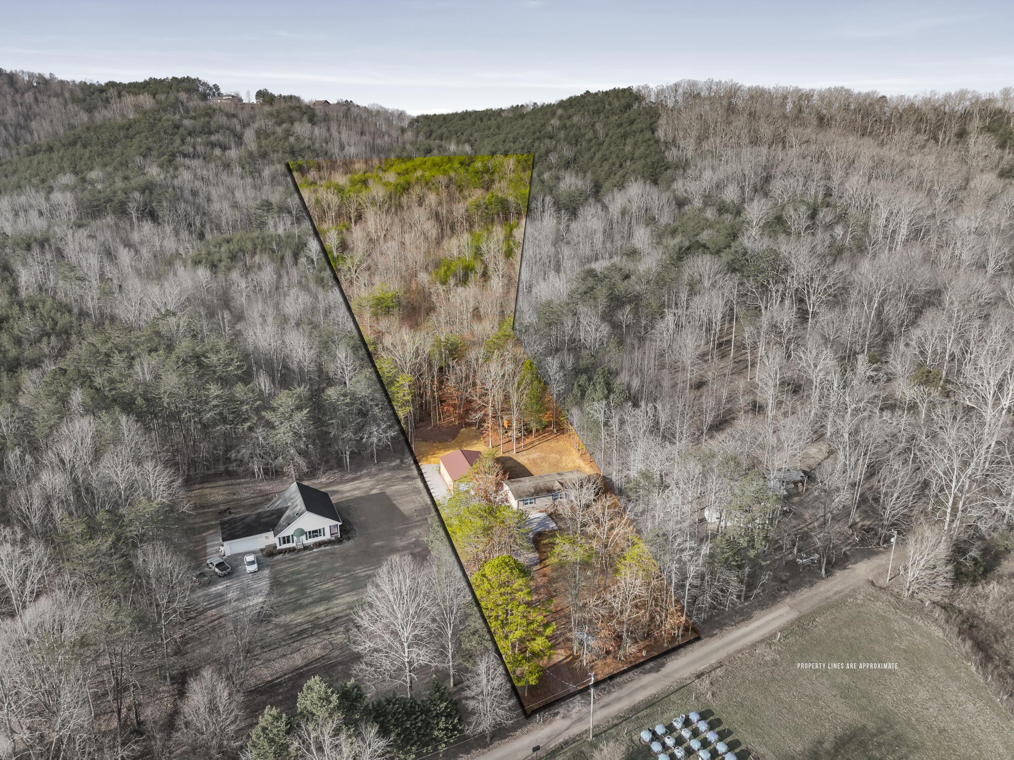 185 Bivens Road Tellico Plains, TN 37385 - Photo 8 of 34 a view of a yard with wooden fence