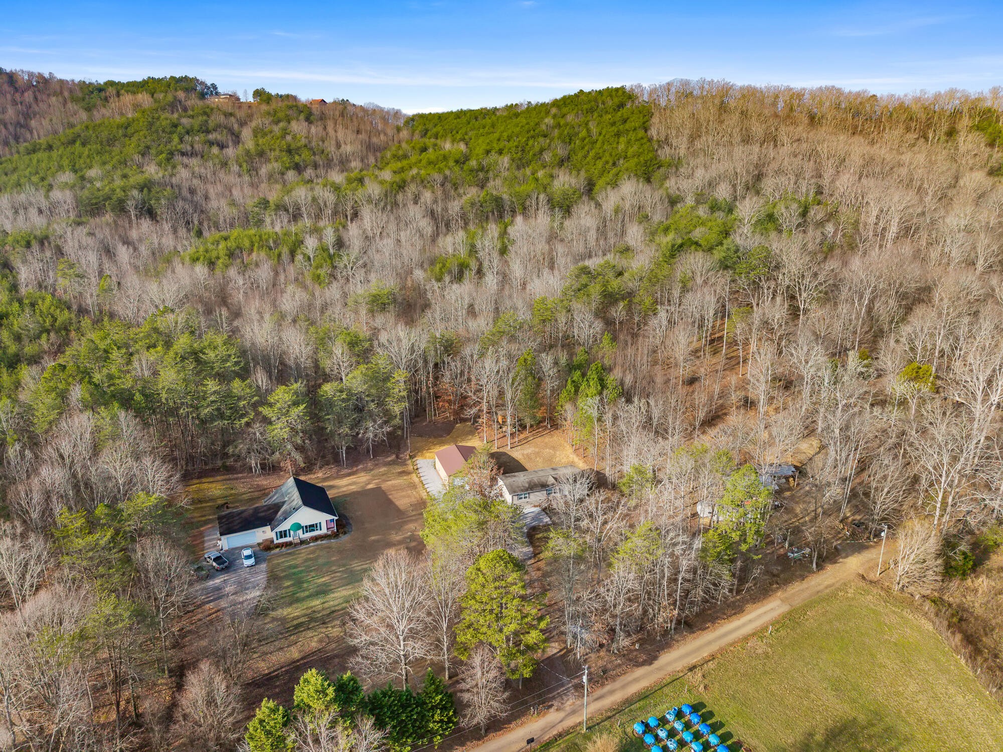 185 Bivens Road Tellico Plains, TN 37385 - Photo 9 of 34 a view of a yard with a tree