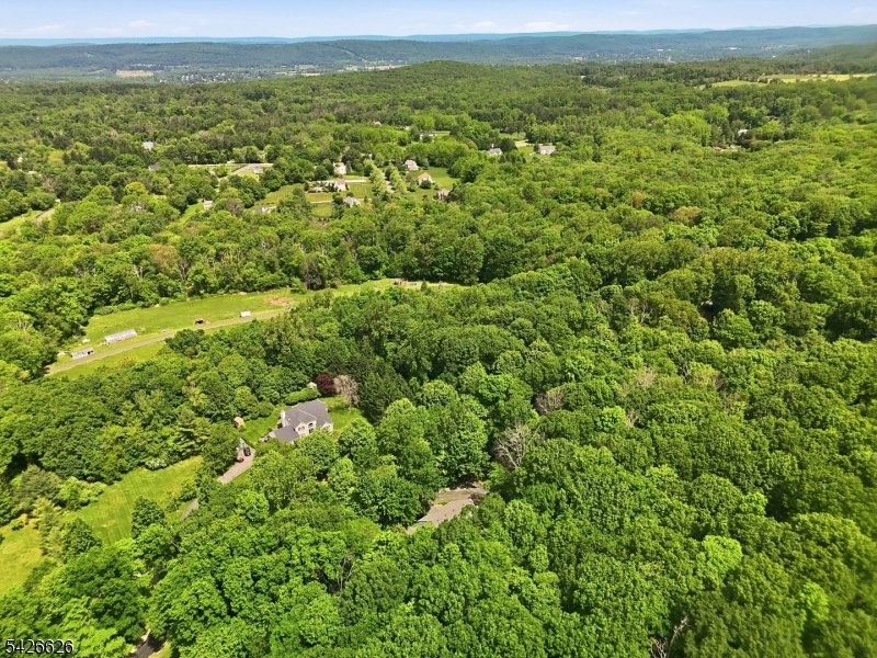20 Indian Run Road Long Valley, NJ 07853 - Photo 50 of 50