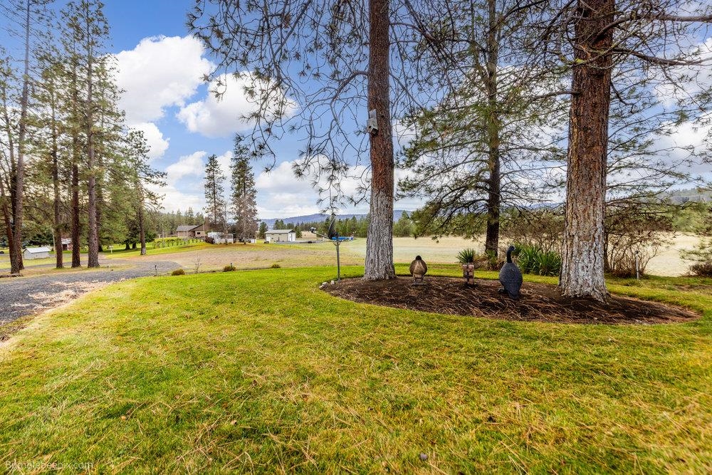 44307 Miles Road North, Unit N Davenport, WA 99122 - Photo 21 of 38