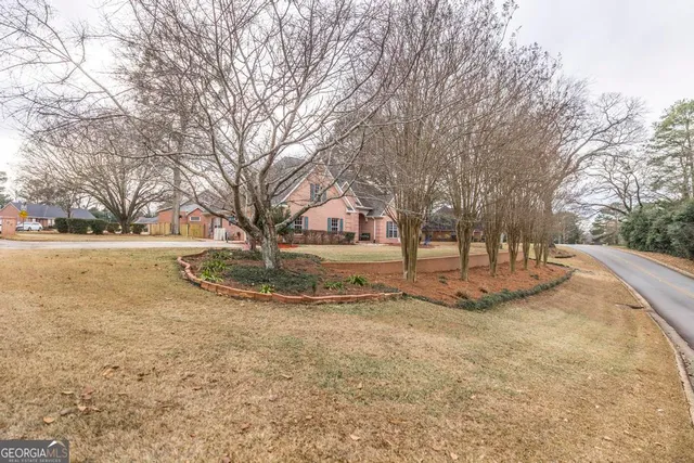 a view of yard with tree