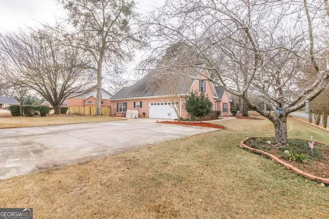 a view of dirt yard with a large tree