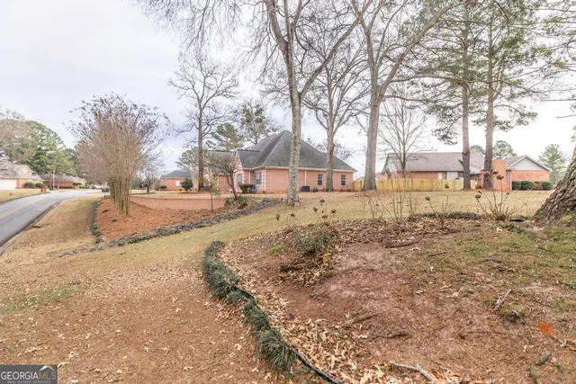 a view of large trees with a trees