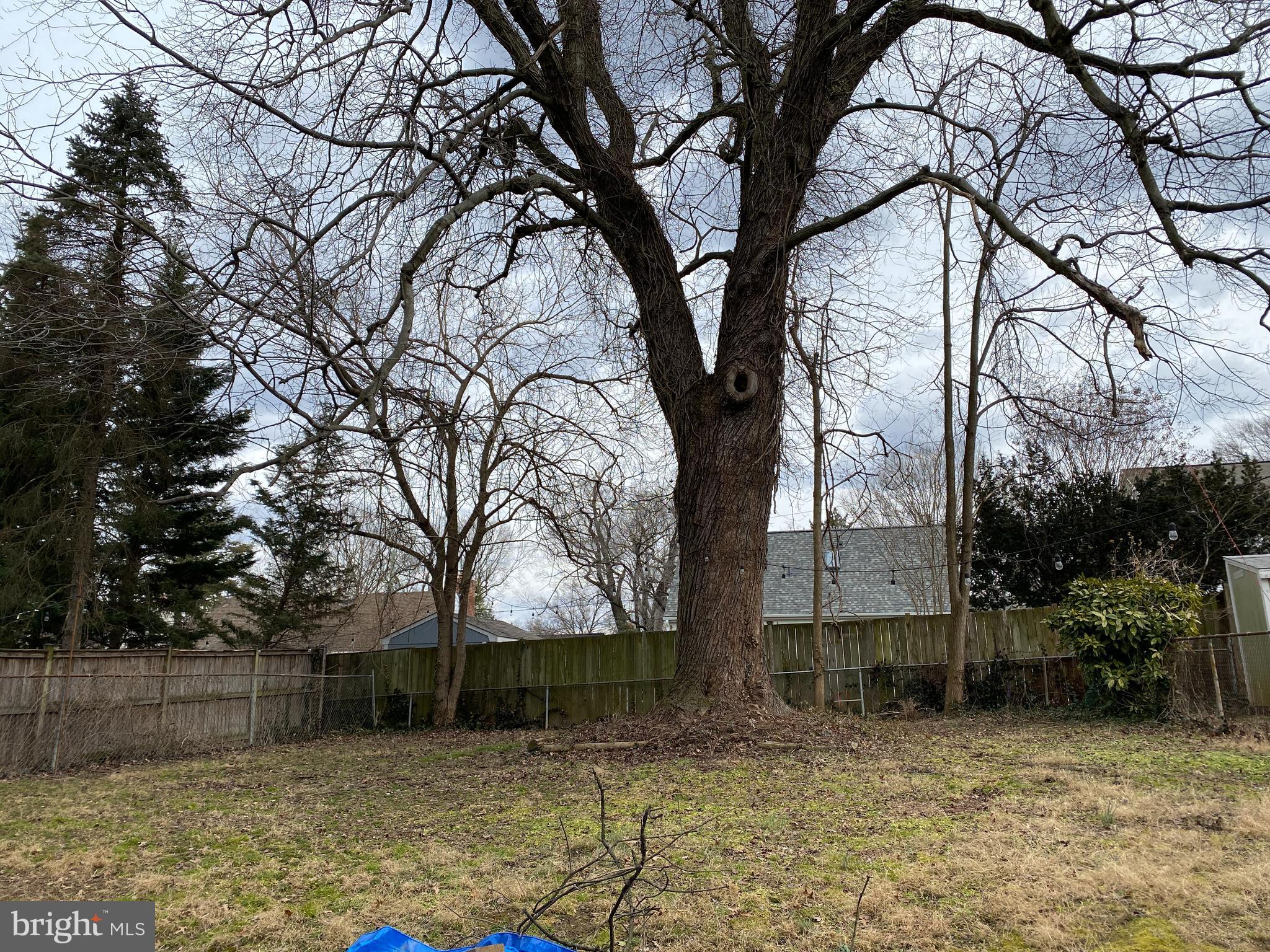 9401 Flower Avenue Silver Spring, MD 20901 - Photo 4 of 10 Large rear yard