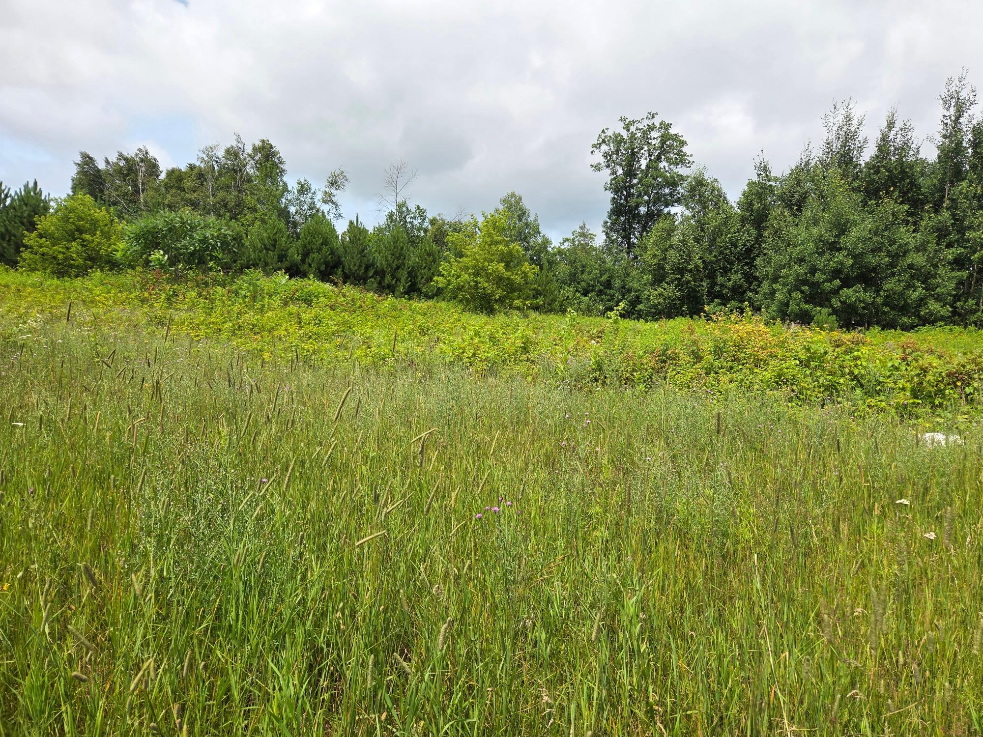 N7272 Keen Road Deerbrook, WI 54424 - Photo 14 of 26