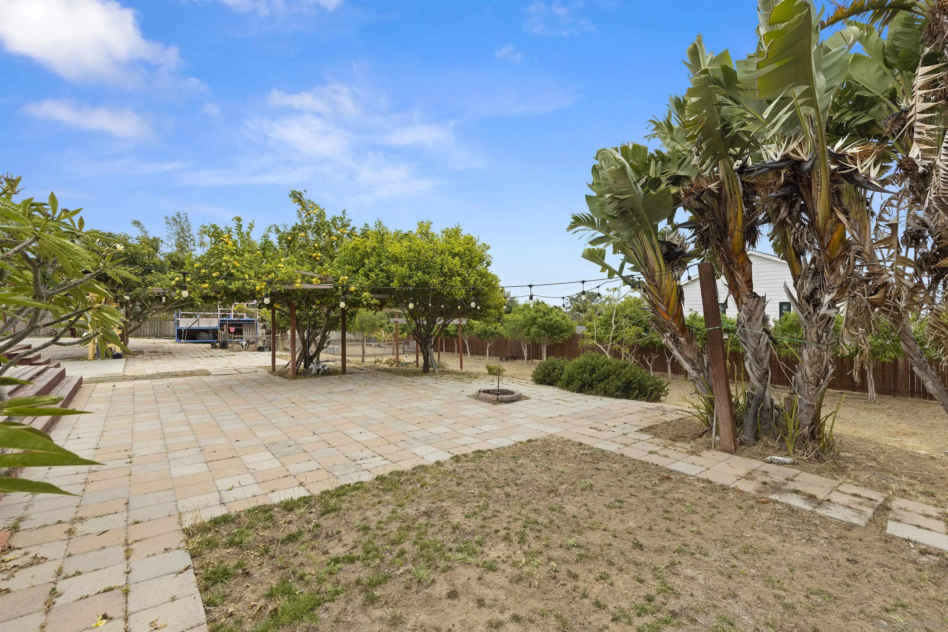752 Bracero Road Encinitas, CA 92024 - Photo 30 of 46 a view of a yard with plants and trees