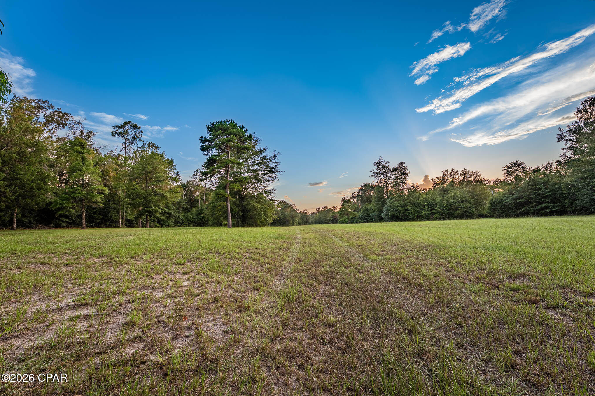 90 Highway 90 Grand Ridge, FL 32442 - Photo 19 of 40