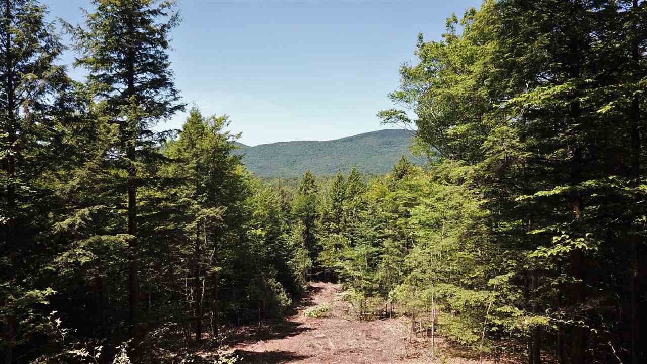 15 K Buzzell Ridge Road, Unit 10 Sandwich, NH 03227 - Photo 1 of 40