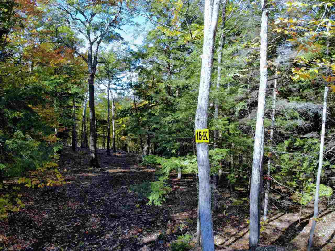 15 K Buzzell Ridge Road, Unit 10 Sandwich, NH 03227 - Photo 2 of 40