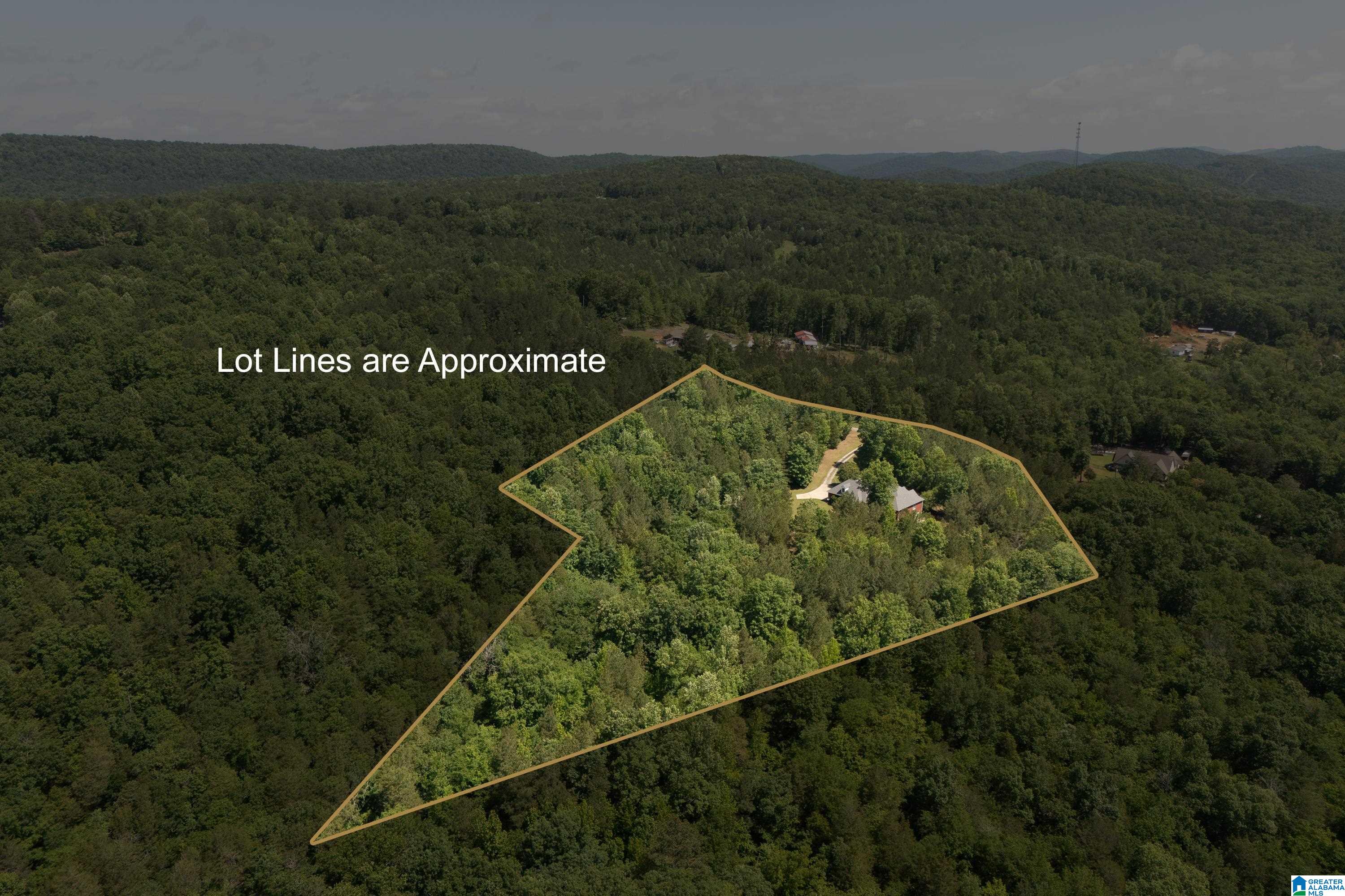 175 Sunhill Road Remlap, AL 35133 - Photo 69 of 72 Gallery Image 69