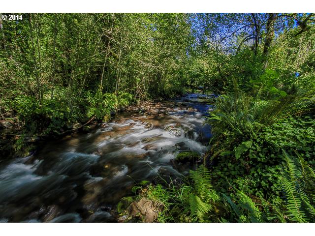 36050 Tree Farm Road Scio, OR 97374 - Photo 2 of 16 Gallery Image 2
