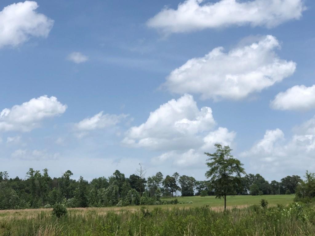 25-ac Rock Creek Road Wing, AL 36483 - Photo 8 of 14 Rock 8