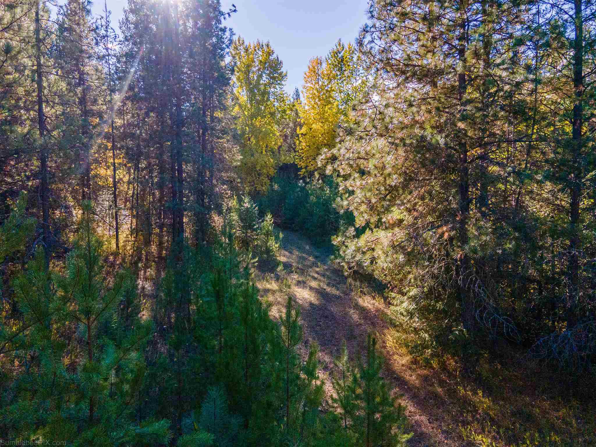 Xx Baker Lake Road Newport, WA 99156 - Photo 11 of 23 Gallery Image 11
