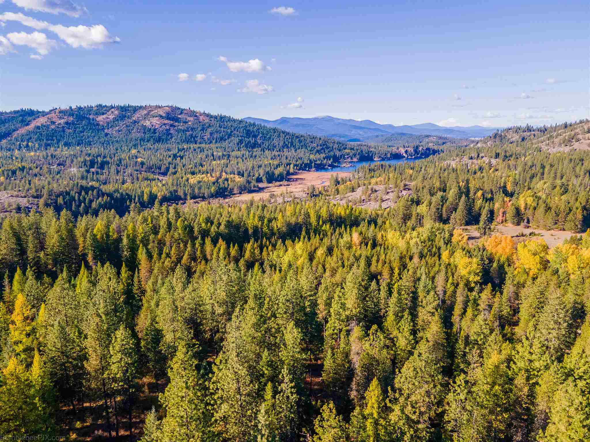 Xx Baker Lake Road Newport, WA 99156 - Photo 14 of 23 Gallery Image 14