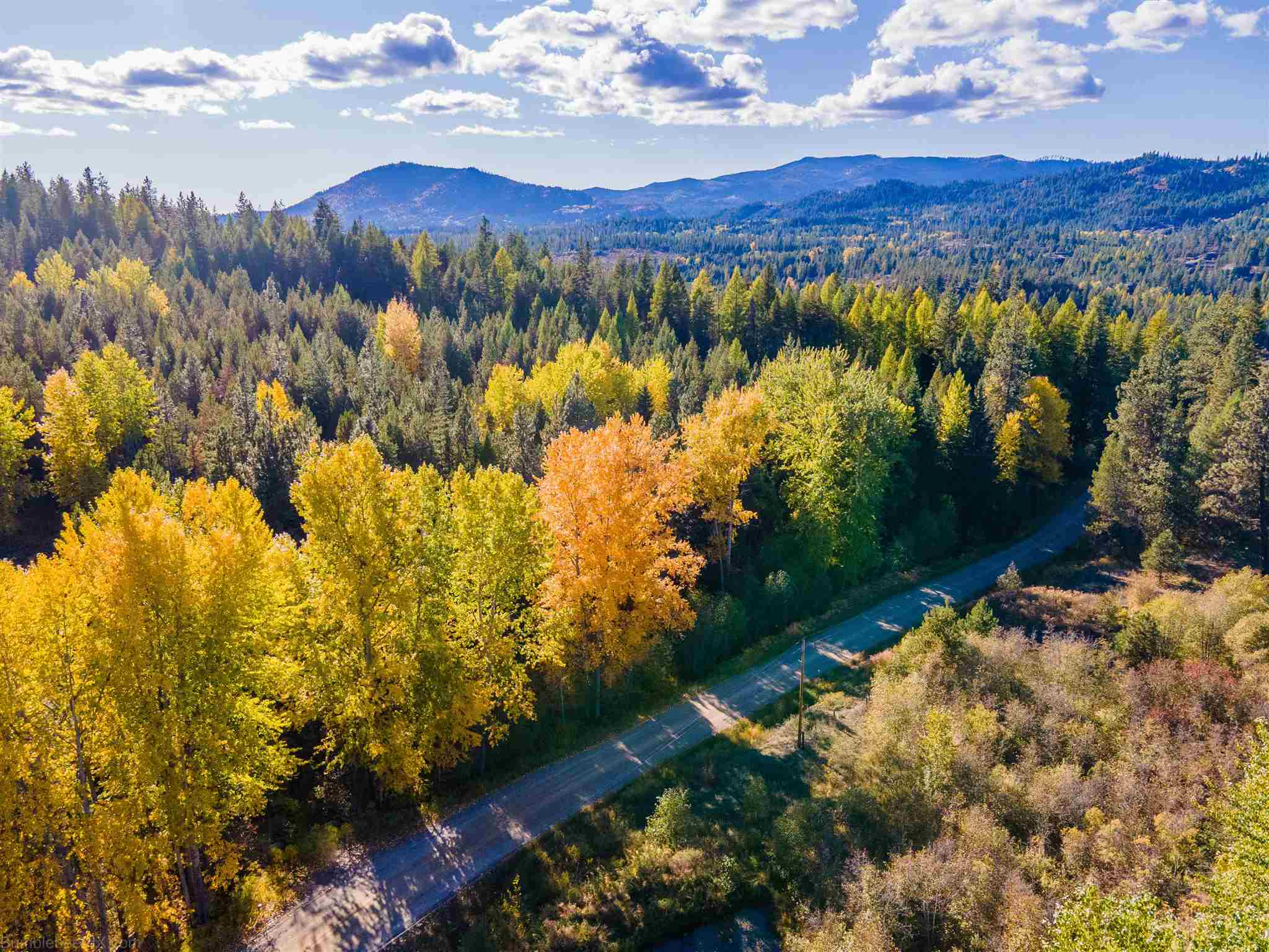 Xx Baker Lake Road Newport, WA 99156 - Photo 8 of 23 Gallery Image 8