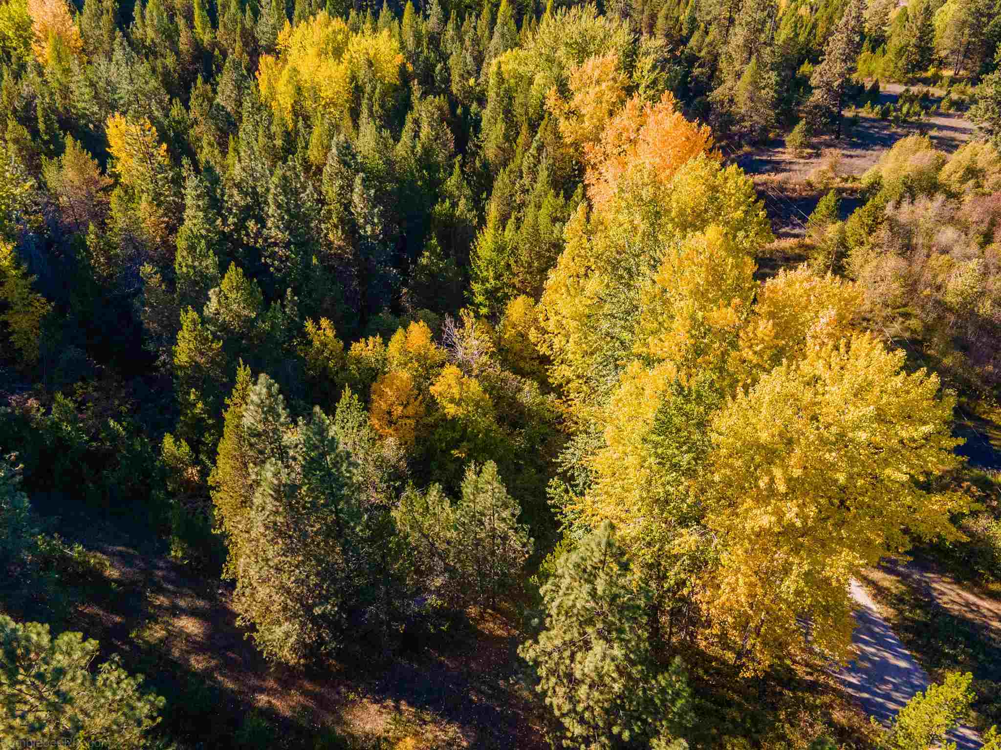 Xx Baker Lake Road Newport, WA 99156 - Photo 9 of 23 Gallery Image 9