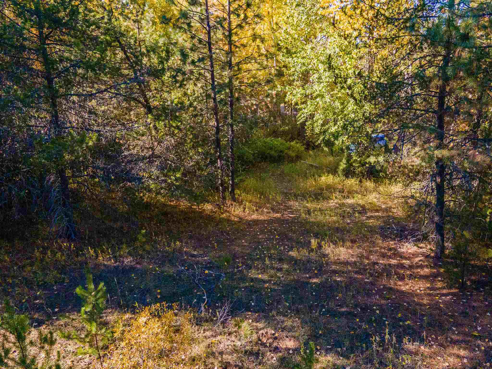 Xx Baker Lake Road Newport, WA 99156 - Photo 10 of 23 Gallery Image 10
