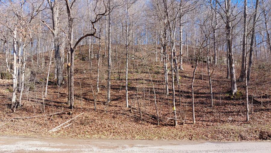 0 East Side Dexter Road Rutland, OH 45775 - Photo 2 of 9 02