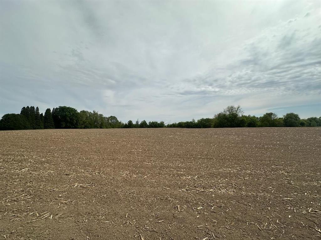 0 East Water (5 Acres) Road Byron, IL 61010 - Photo 4 of 5