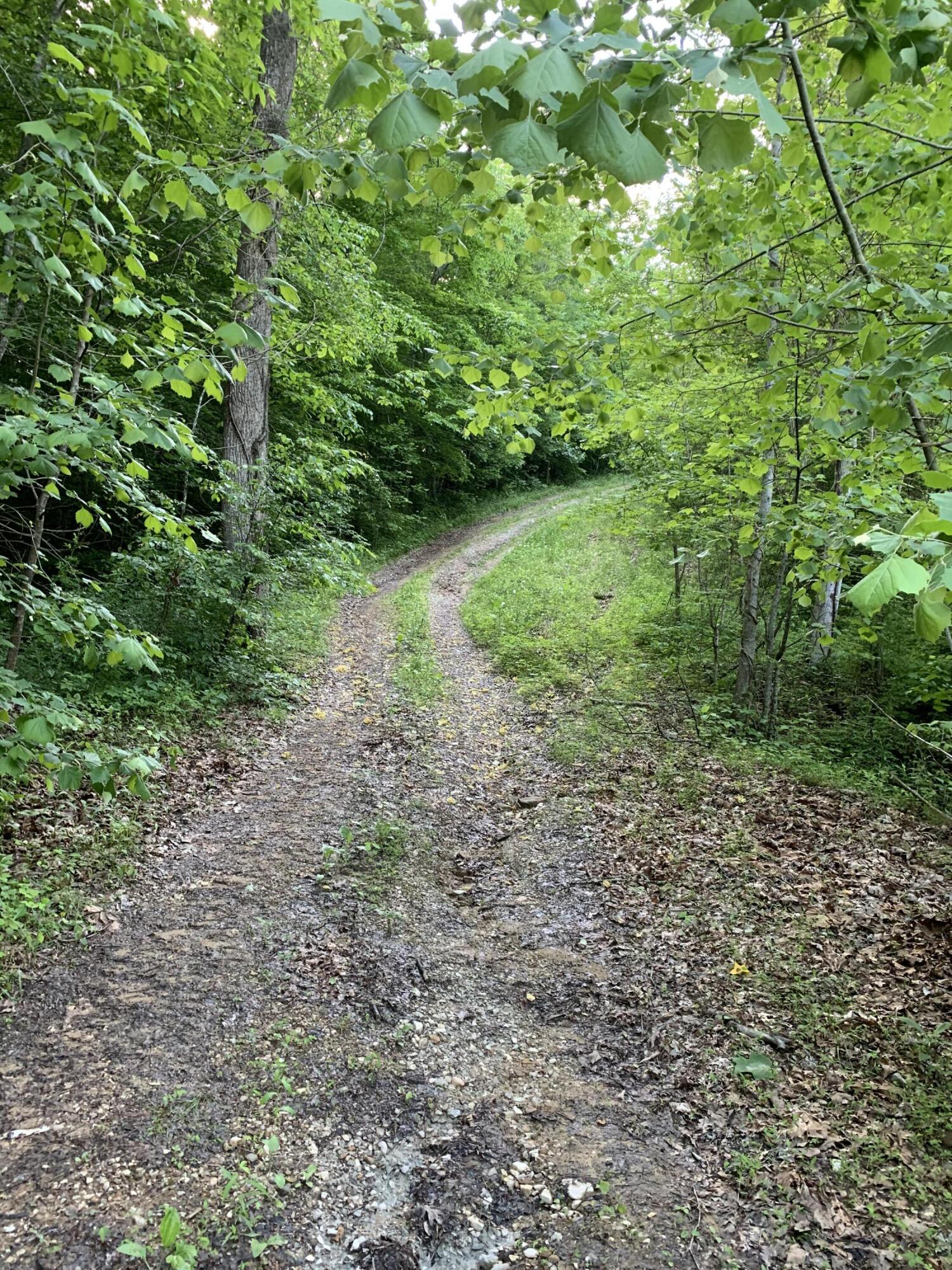 517 Camp Branch Road Hazel Green, KY 41332 - Photo 24 of 32 IMG_8777