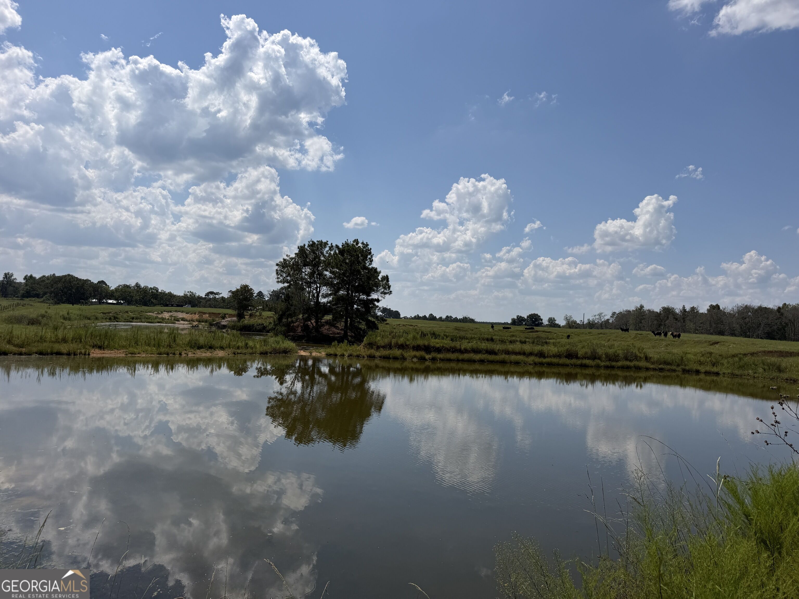 23.03-acres Carters Bridge Road Claxton, GA 30417 - Photo 14 of 20 Gallery Image 14
