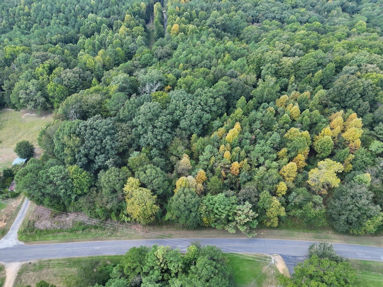 Doss Road Winfield, AL 35594 - Photo 1 of 10 Gallery Image 1