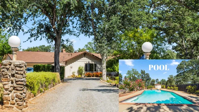 a view of a street sign under a large tree