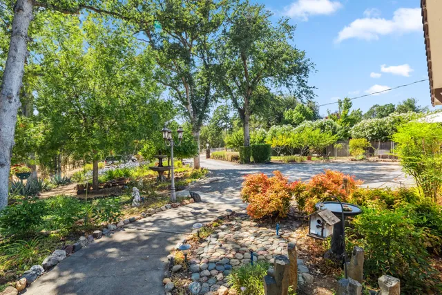 a view of yard with green space