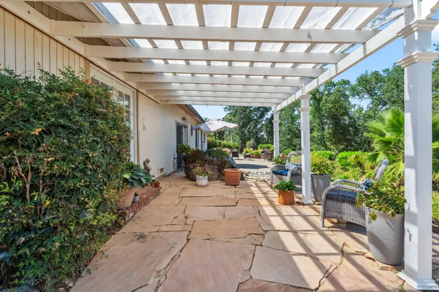 a view of a patio with plants and chairs
