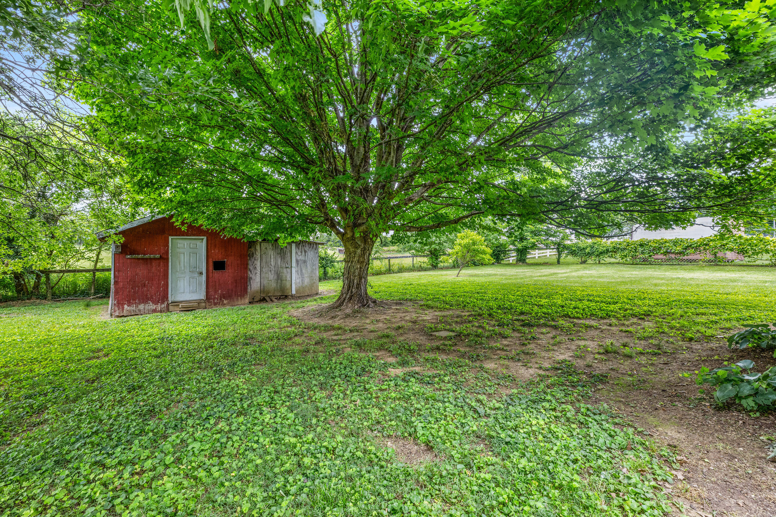 214 Sebree Road Stamping Ground, KY 40379 - Photo 25 of 35 25_img_7873
