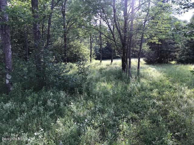 0 Loop Road Savoy, MA 01256 - Photo 1 of 3 IMG_4129