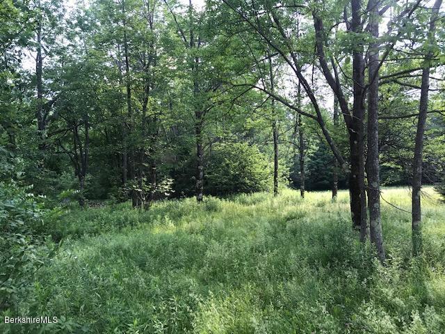0 Loop Road Savoy, MA 01256 - Photo 2 of 3 IMG_4130