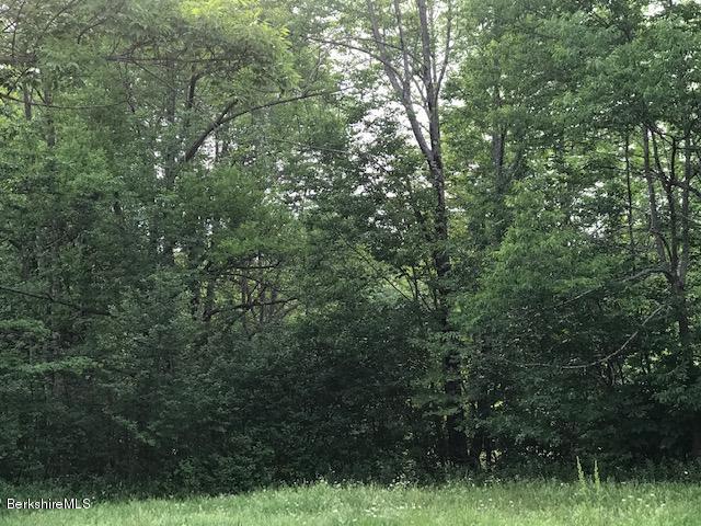 0 Loop Road Savoy, MA 01256 - Photo 3 of 3 IMG_4132