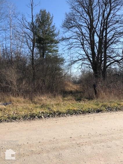 V/l Eckles Road Goodells, MI 48027 - Photo 1 of 1