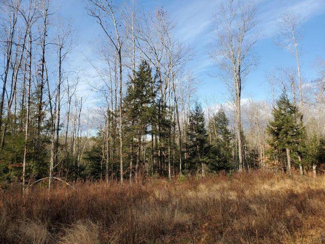 Lot 12 Needham Road Norway, ME 04268 - Photo 2 of 9 20210207234955893625000000-o