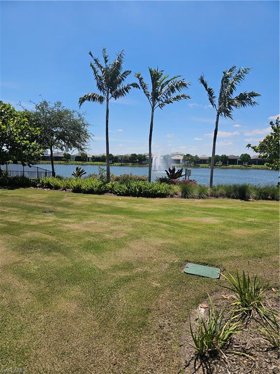 9022 Redonda Drive Naples, FL 34114 - Photo 24 of 28 a view of a lake with a palm tree