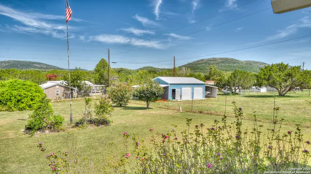 a view of a yard with plants and a tree