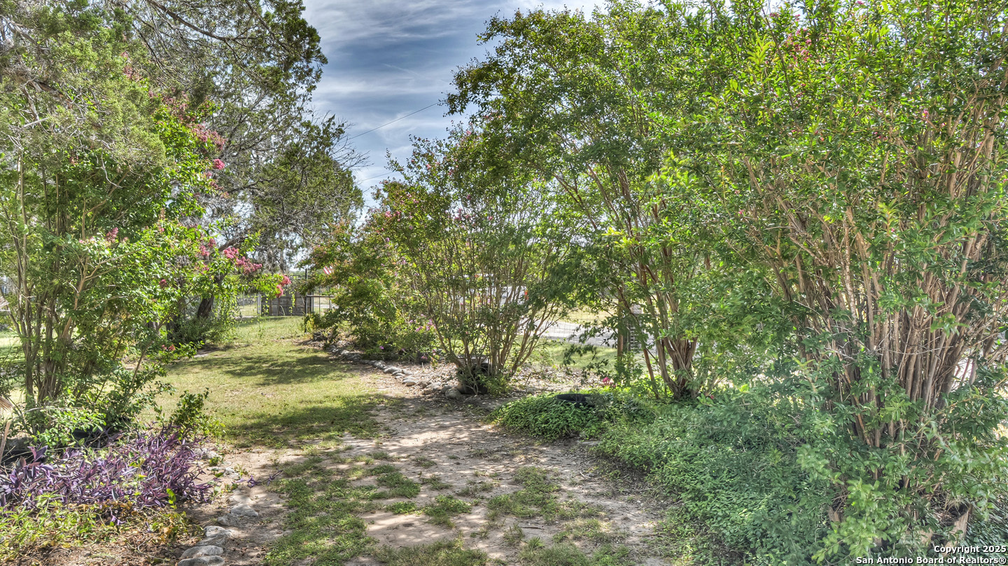 181 Leinweber Drive Leakey, TX 78873 - Photo 47 of 56 a view of a yard with plants and a tree