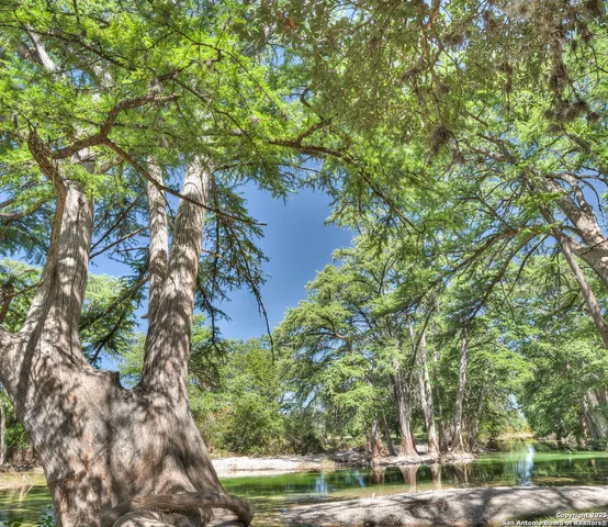 a backyard of a house with lots of green space and fountain