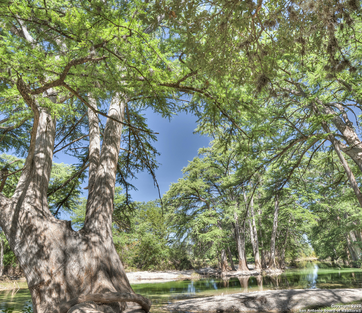 181 Leinweber Drive Leakey, TX 78873 - Photo 49 of 56 a view of a yard with plants and trees
