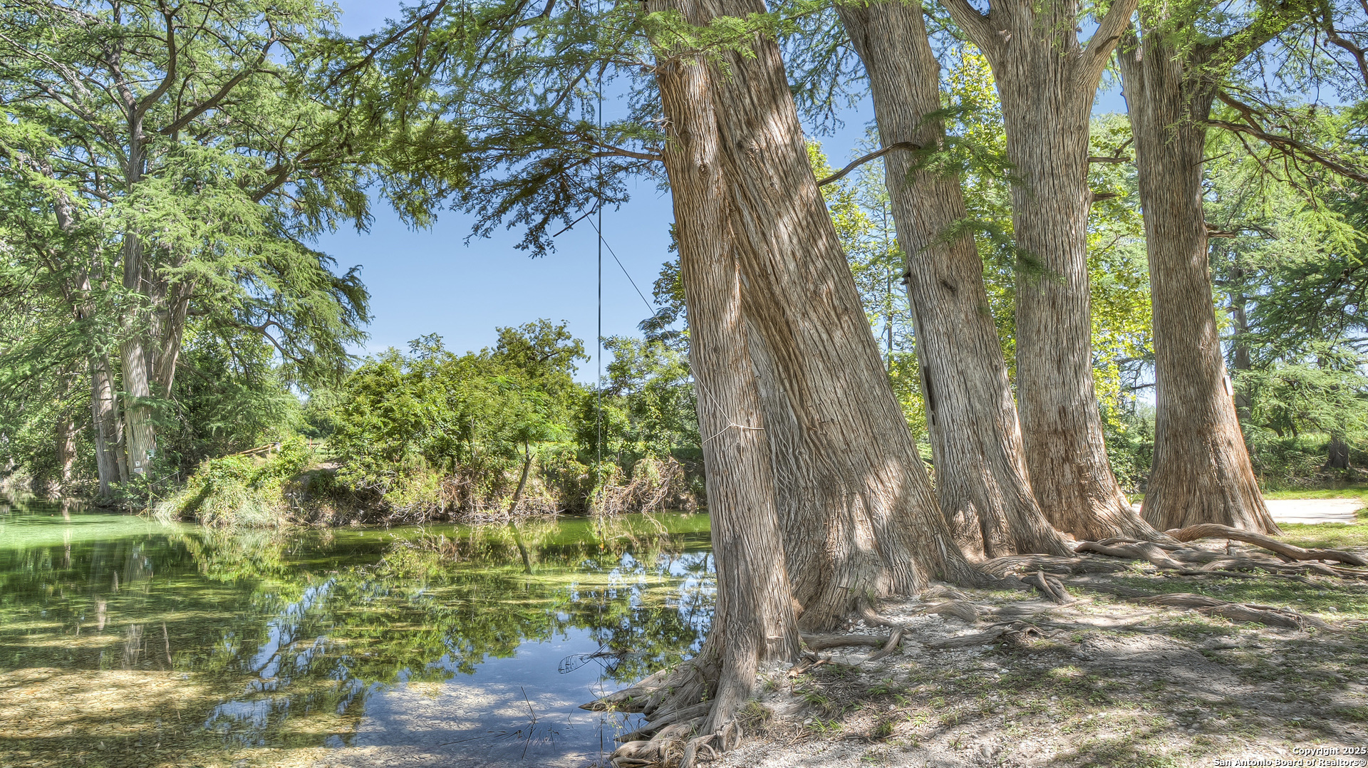 181 Leinweber Drive Leakey, TX 78873 - Photo 50 of 56 a backyard of a house with lots of green space