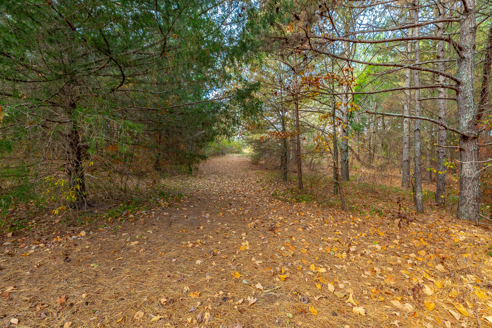 1116 McIntire Road Rock Spring, GA 30739 - Photo 29 of 34 1116 McIntire Road HD-4052