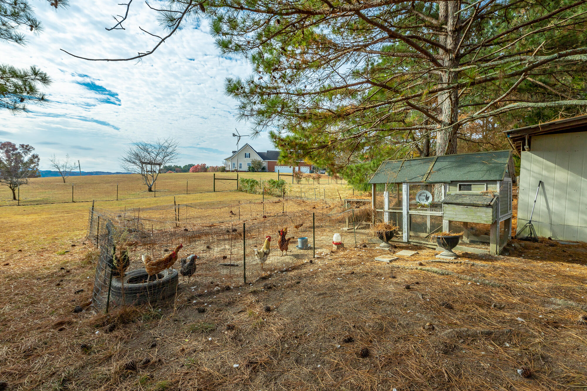 1116 McIntire Road Rock Spring, GA 30739 - Photo 33 of 34 1116 McIntire Road HD-4043