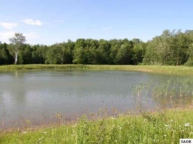 48040.JPG