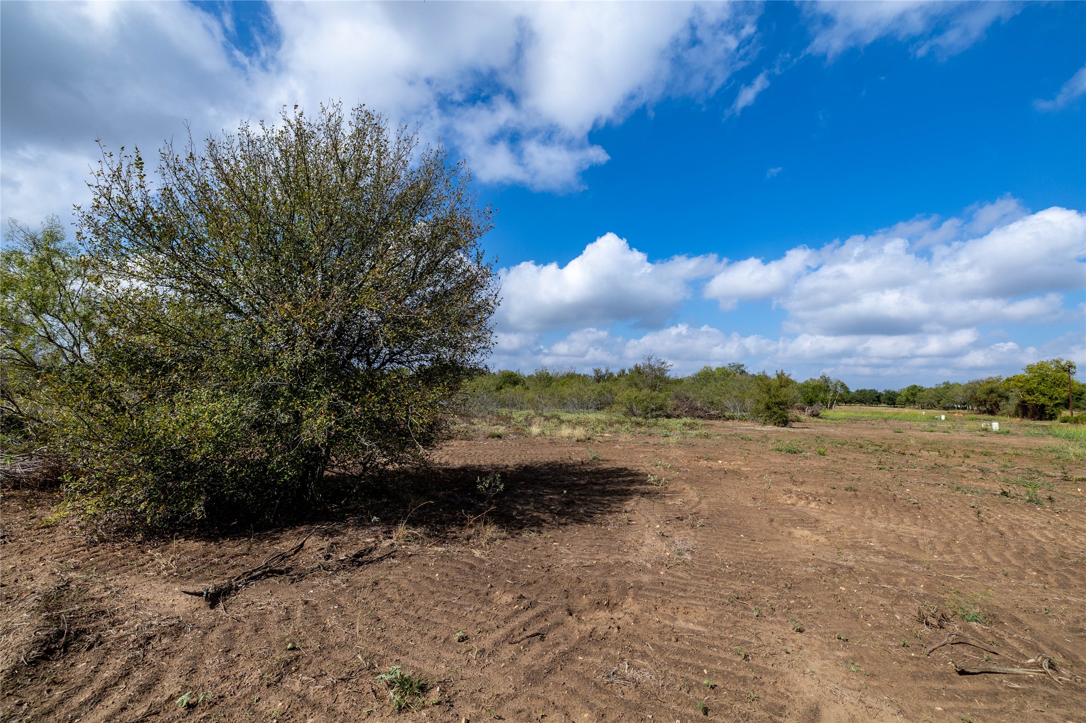 287 Sunset Trail Luling, TX 78648 - Photo 9 of 10