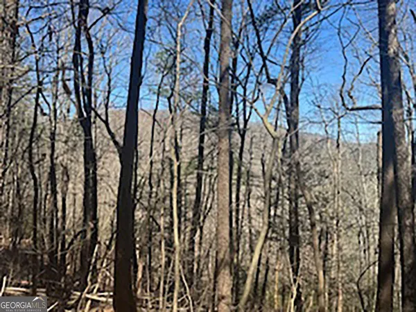 $64,900 | Lot 14 Butler Creek Road, Cherry Log, GA 30522